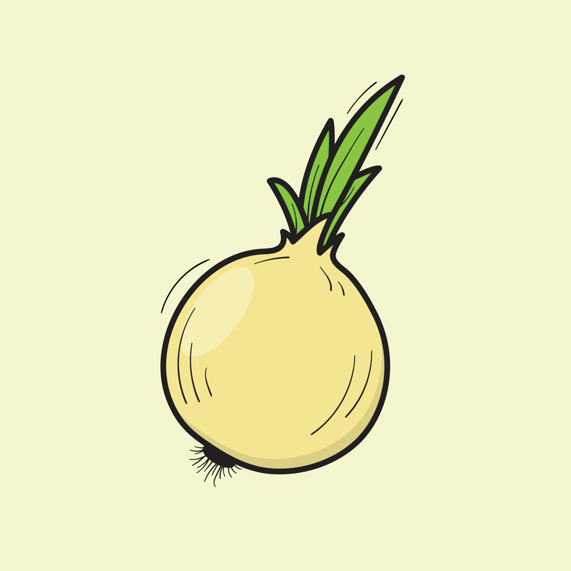 Illustration of Onion Vector Drawing 21724962 Vector Art at Vecteezy
