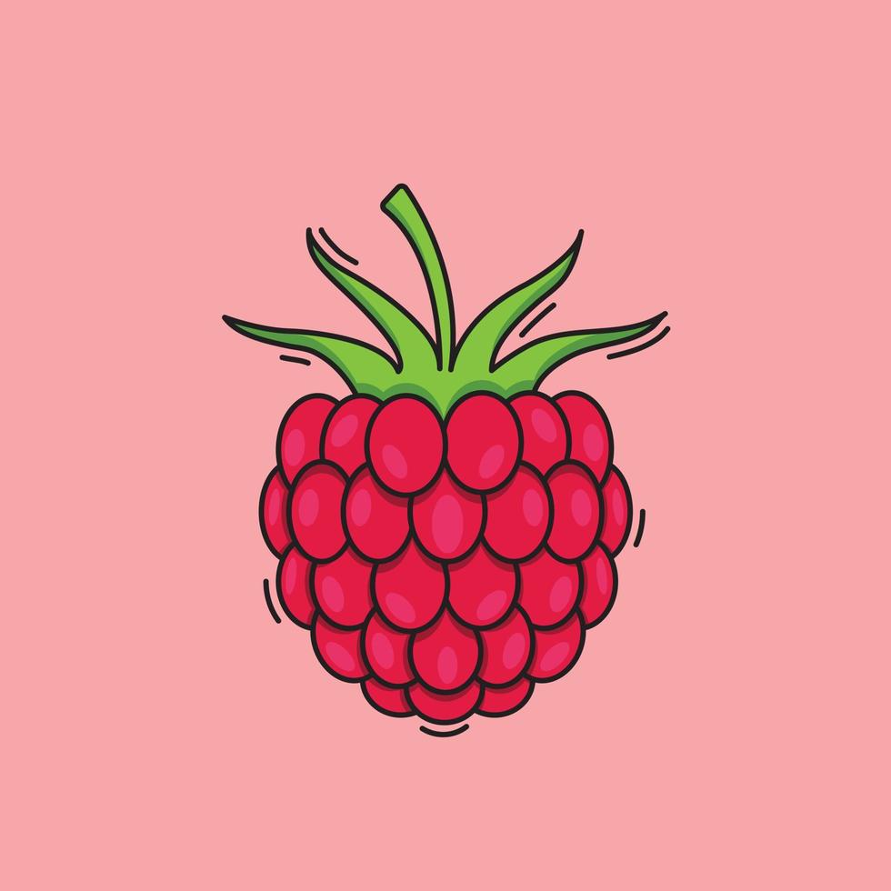 ilustración de frambuesa frutas vector frambuesa dibujo