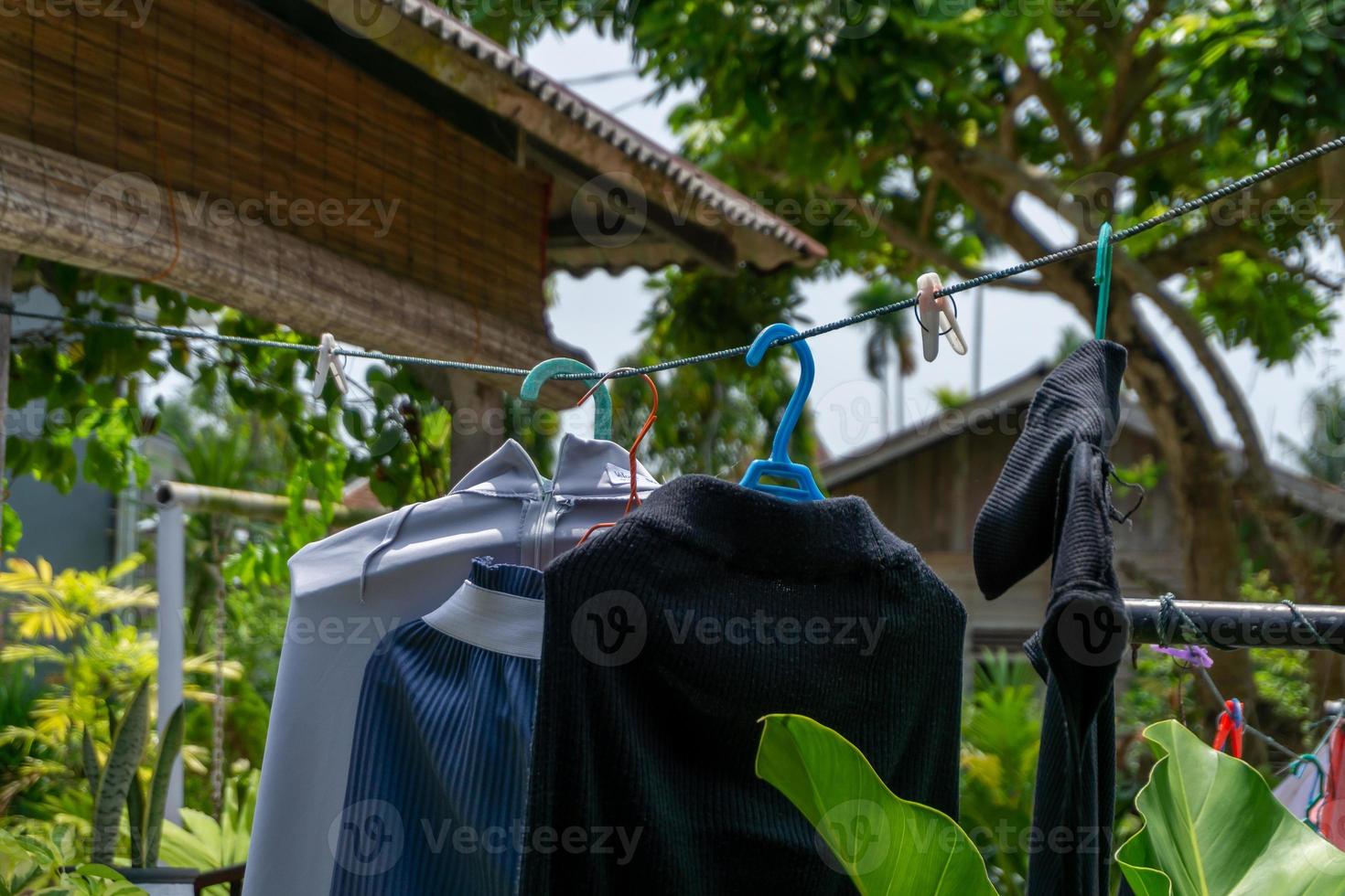 Clothes hangin in clothesline at sunny day photo