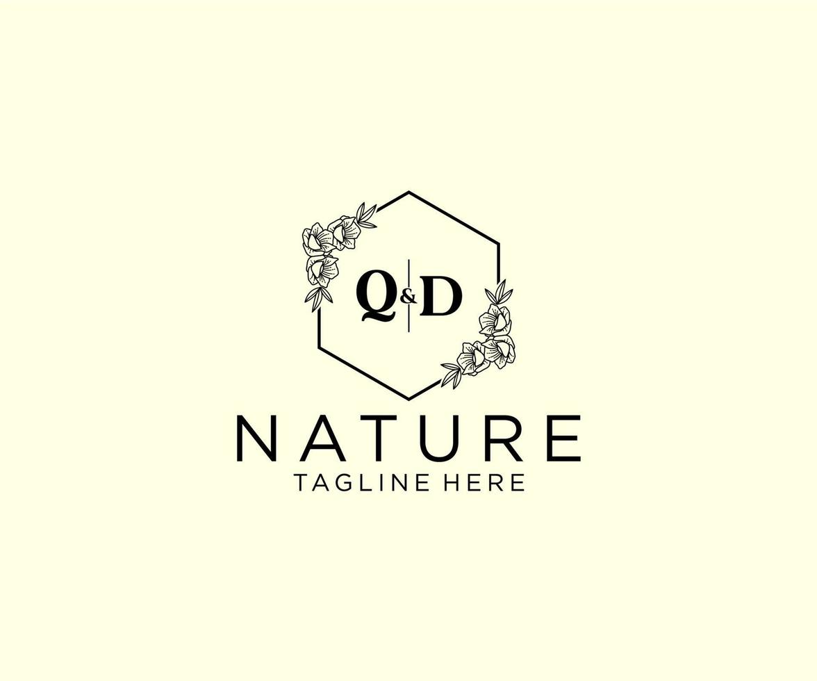 inicial qd letras botánico femenino logo modelo floral, editable prefabricado monoline logo adecuado, lujo femenino Boda marca, corporativo. vector