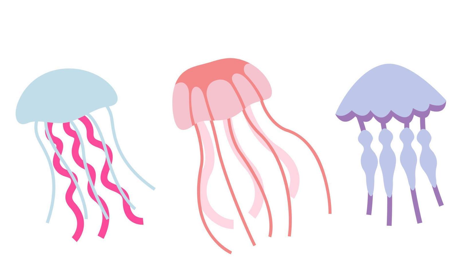 Set of jellyfish in flat style. vector