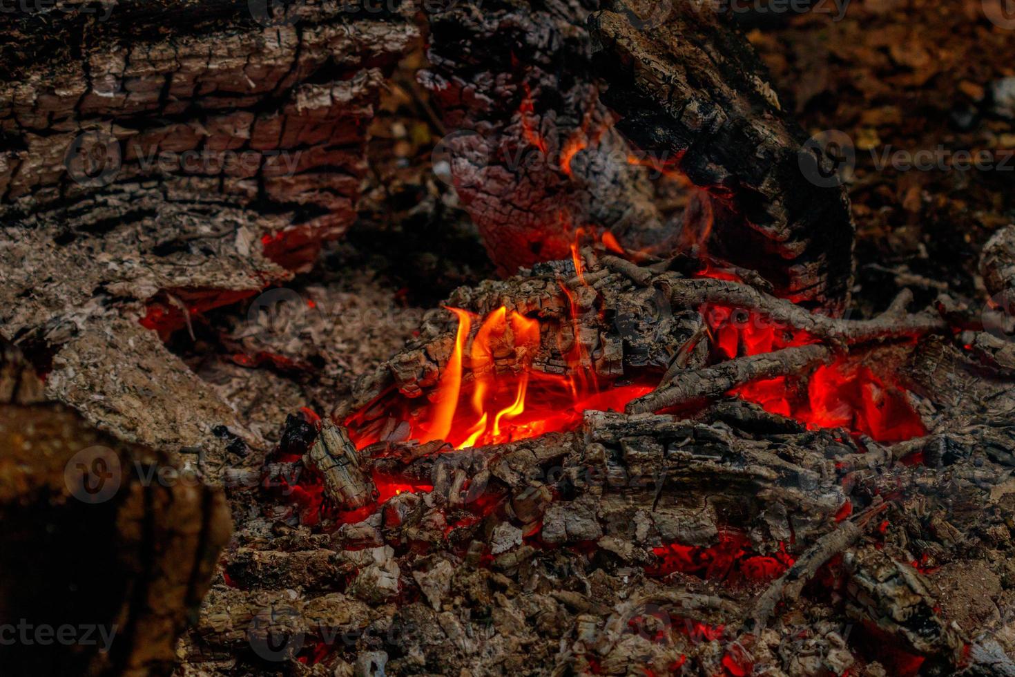 texture flame from burning logs at night photo