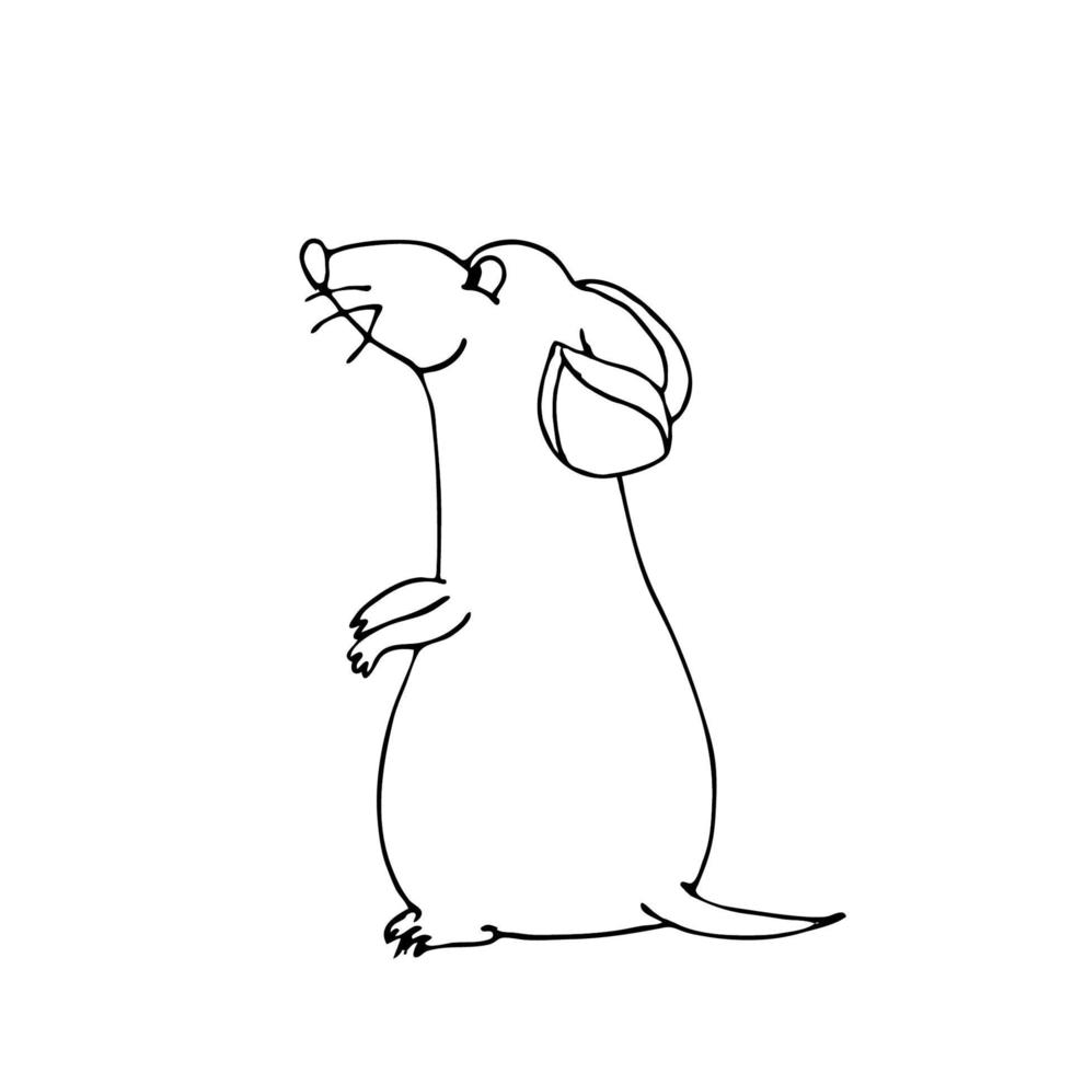 Hand drawn illustration of cute mouse vector