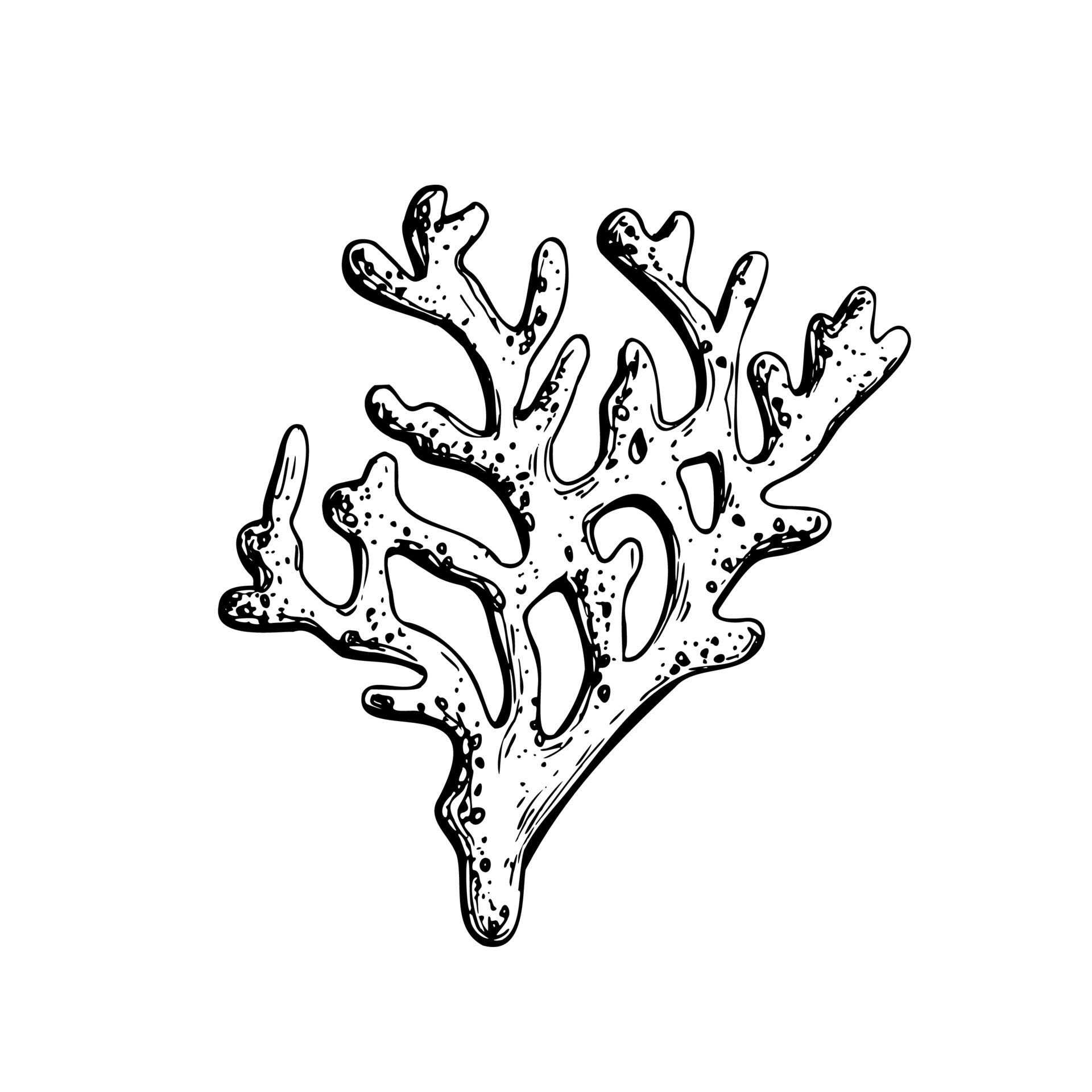 Branch of the sea coral reef. Isolated object drawn by hand in graphic  technique. Vector illustration for beach, summer, nautical decoration and  design. 21730741 Vector Art at Vecteezy