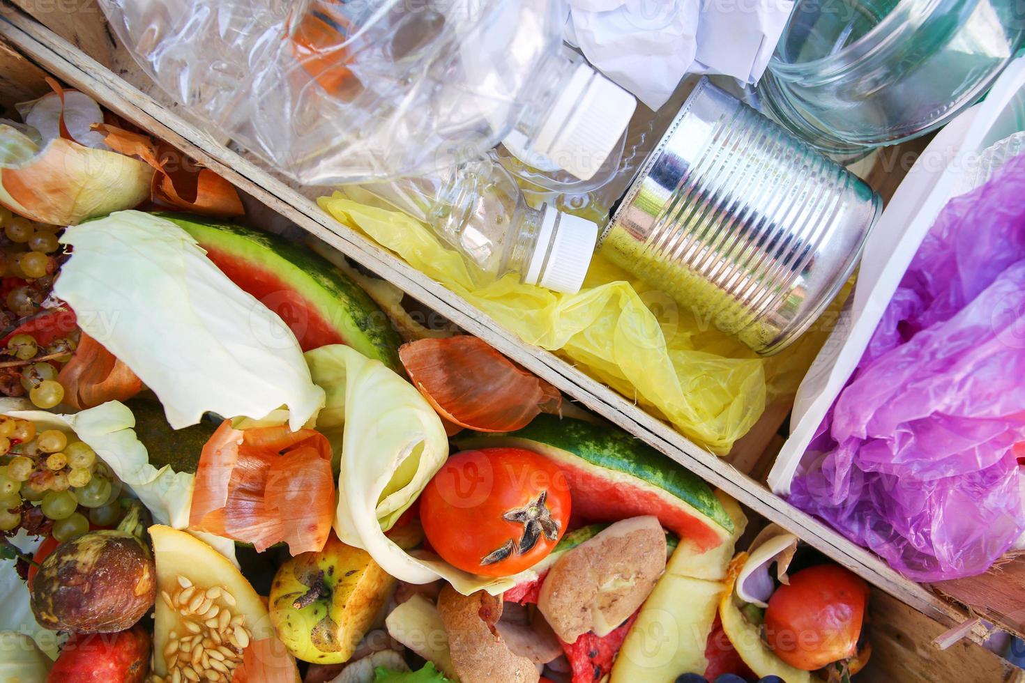 Different trash. Garbage sorting iron, paper, plastic, domestic waste for compost from fruits and vegetables. photo