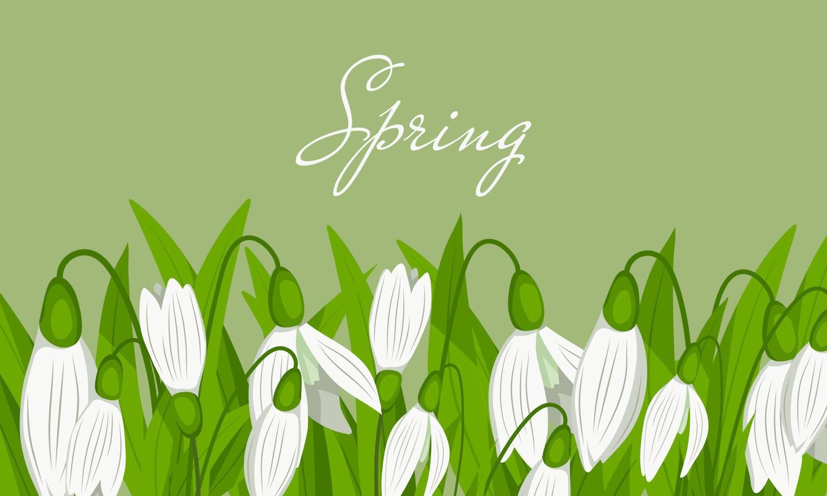 Banner with Snowdrop icons isolated on green background. Spring time vector