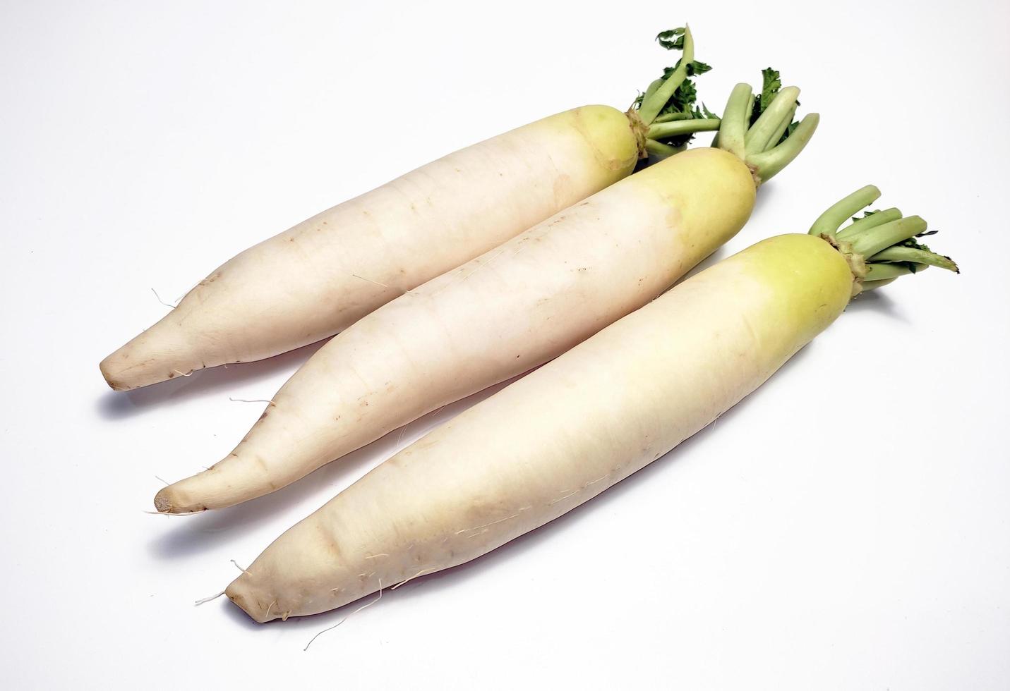 blanco rábano o daikon aislado en blanco antecedentes foto