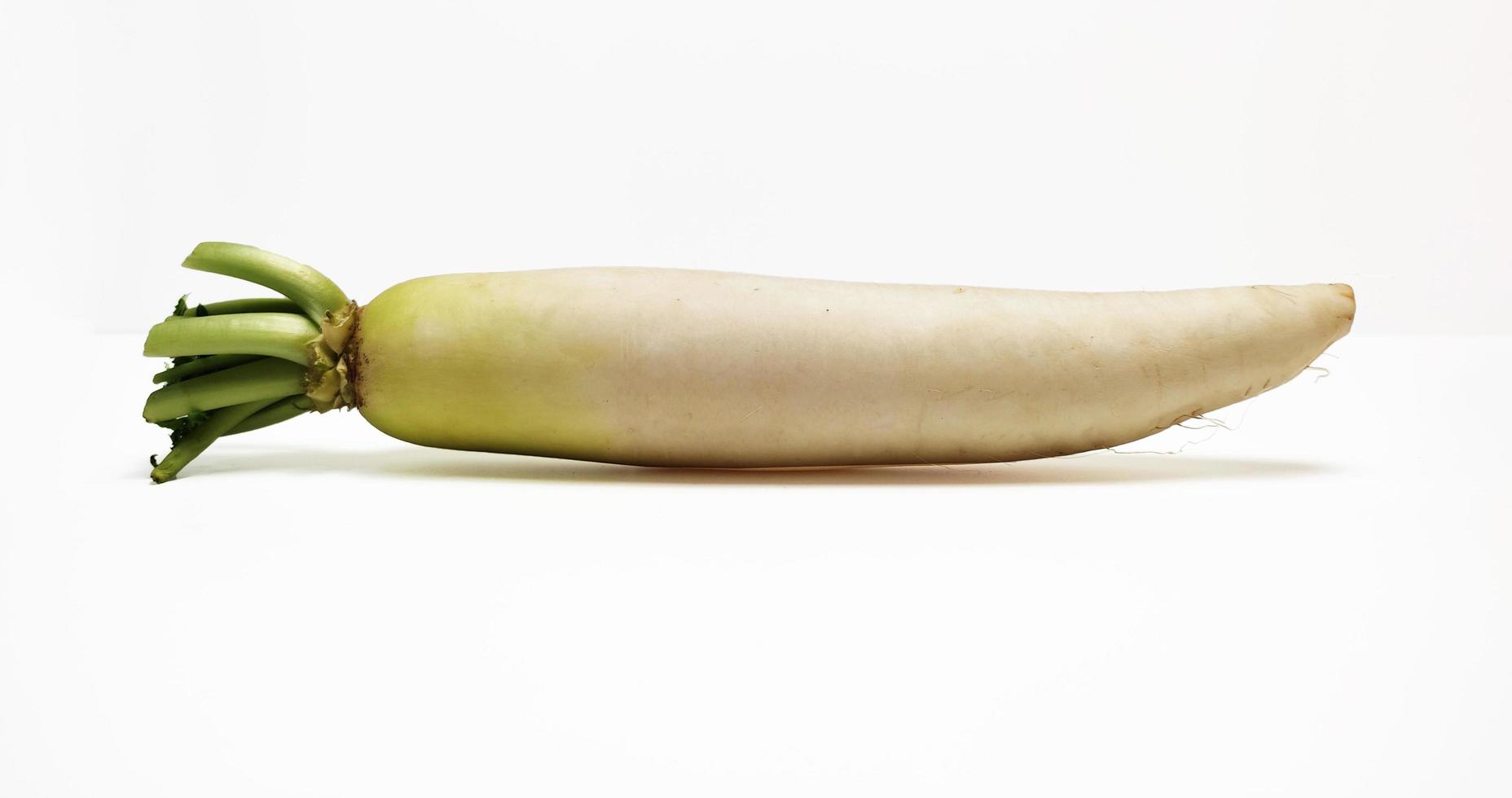 White Radish or Daikon isolated in white background photo