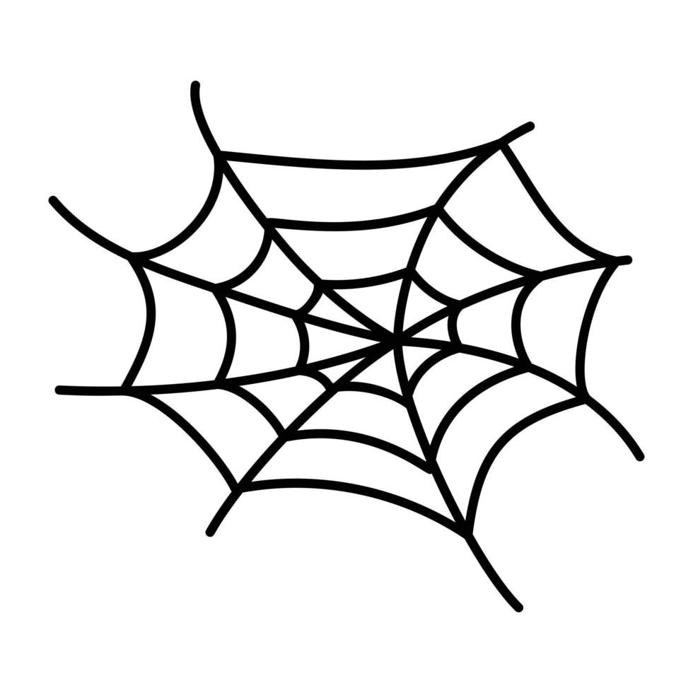 Trendy Spider Web vector