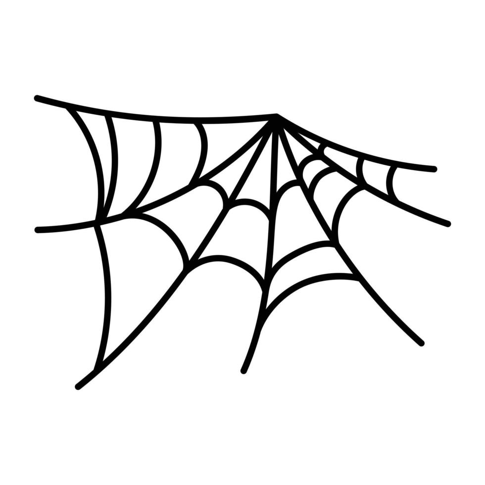 Trendy Spider Web vector