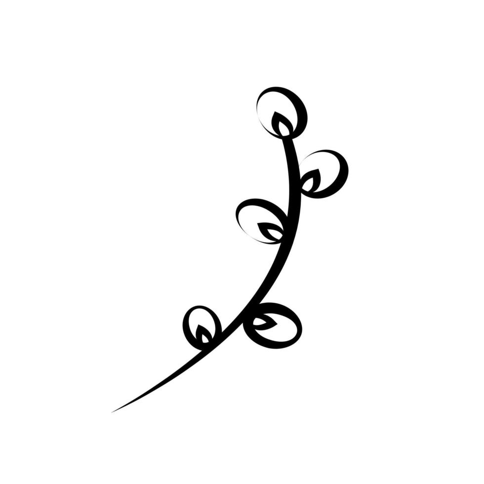 Linear willow twig in doodle style vector