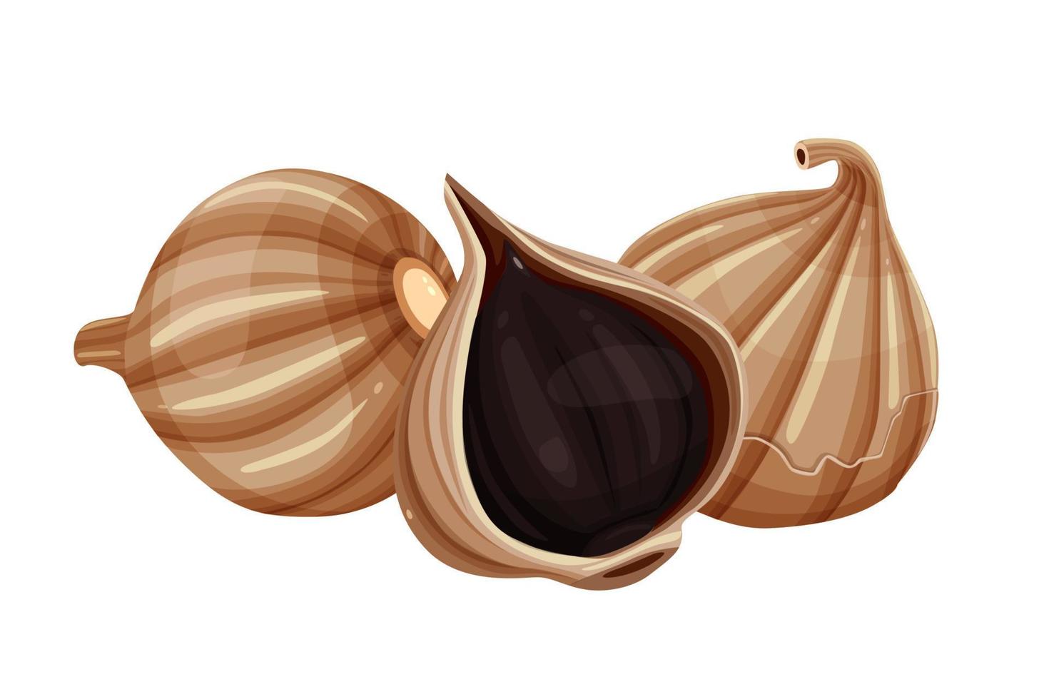 Delicious black garlic isolated on white background. Package design element with cutting path. Vector eps 10., perfect for wallpaper or design elements