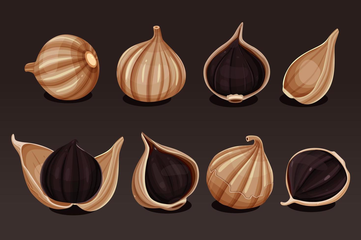 Black Garlic Vector Art, Icons, and Graphics for Free Download