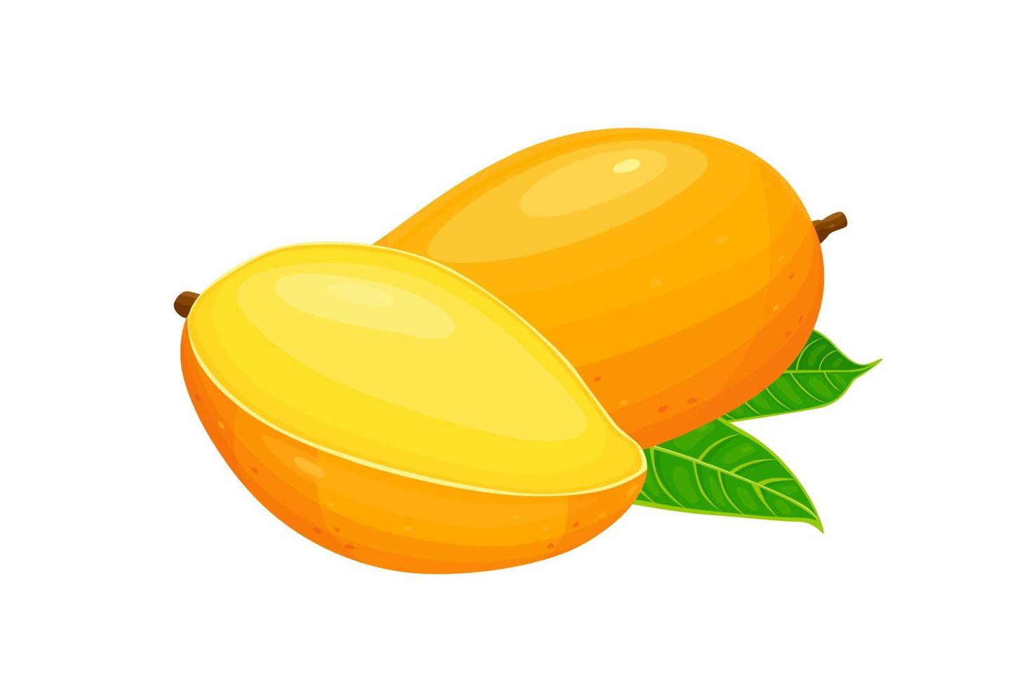 Fresco mango tropical Fruta con verde hoja aislado en blanco antecedentes. vector eps 10 Perfecto para fondo de pantalla o diseño elementos