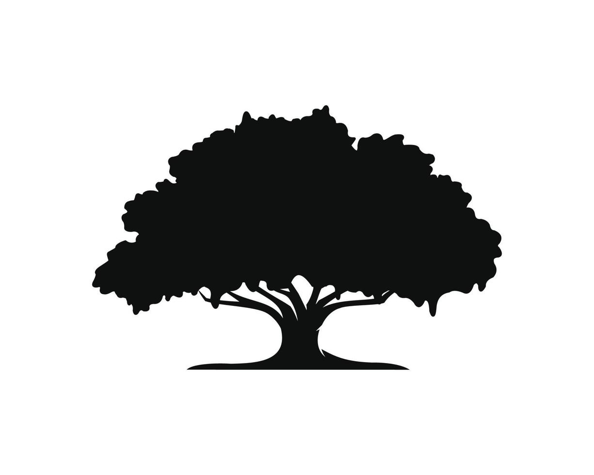 roble árbol icono aislado en blanco antecedentes vector