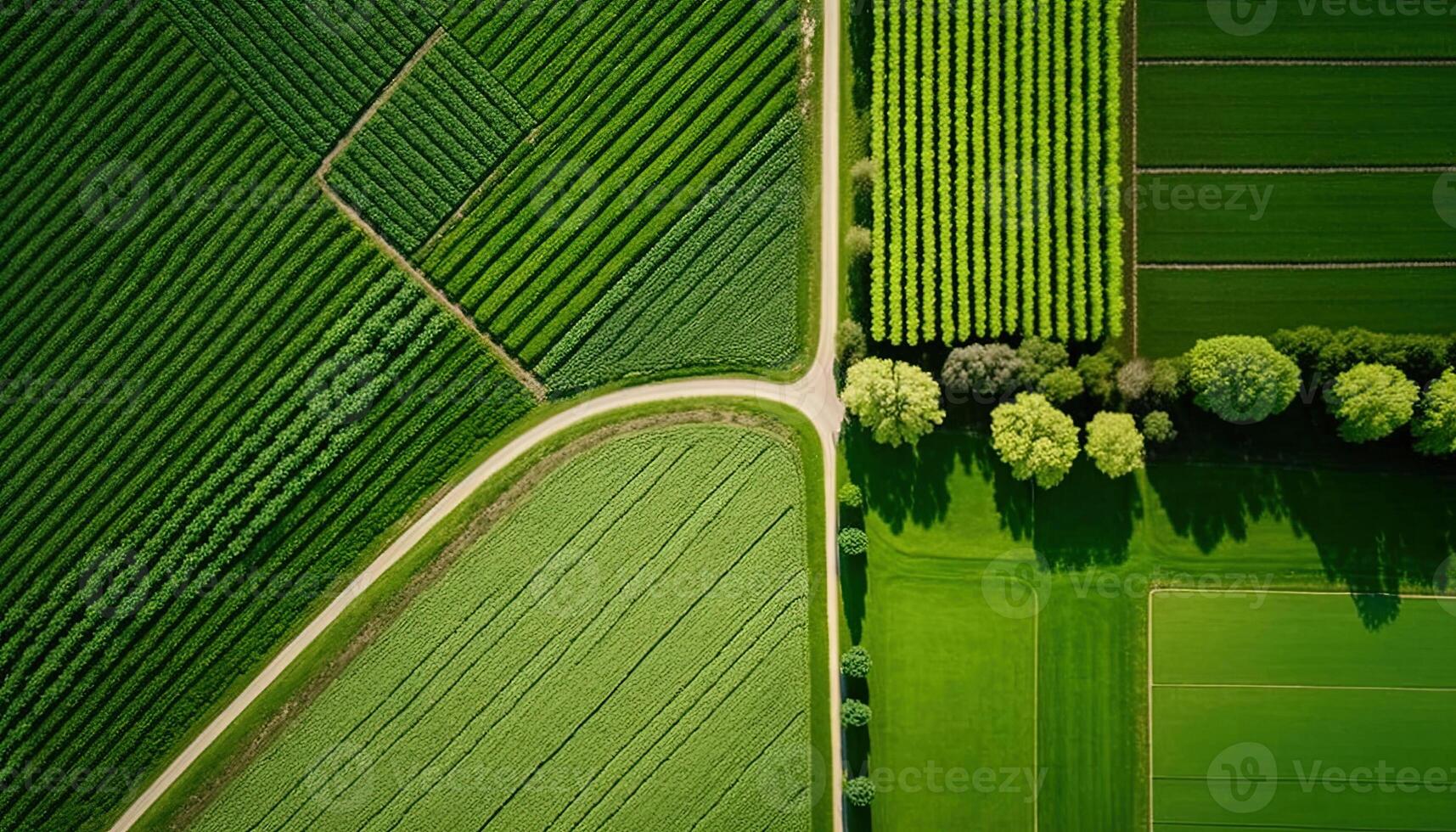 generativo ai, granja paisaje, agrícola campos, hermosa campo, país la carretera. naturaleza ilustración, fotorrealista parte superior ver zumbido, horizontal bandera. foto