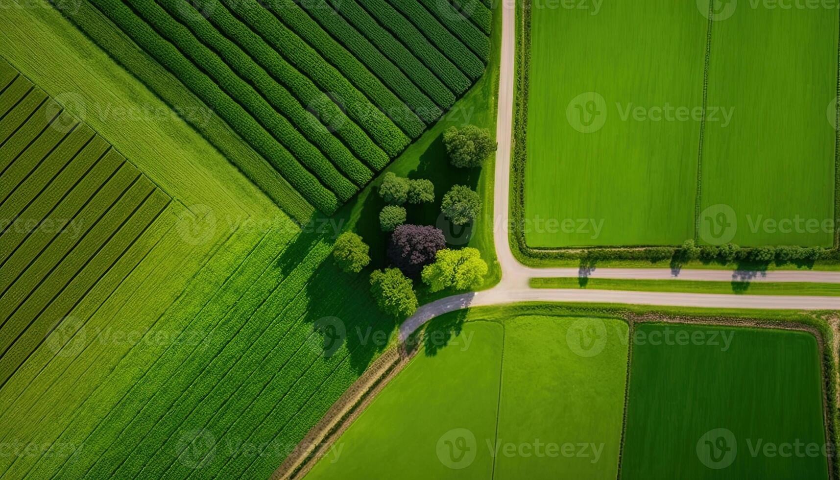 generativo ai, granja paisaje, agrícola campos, hermosa campo, país la carretera. naturaleza ilustración, fotorrealista parte superior ver zumbido, horizontal bandera. foto