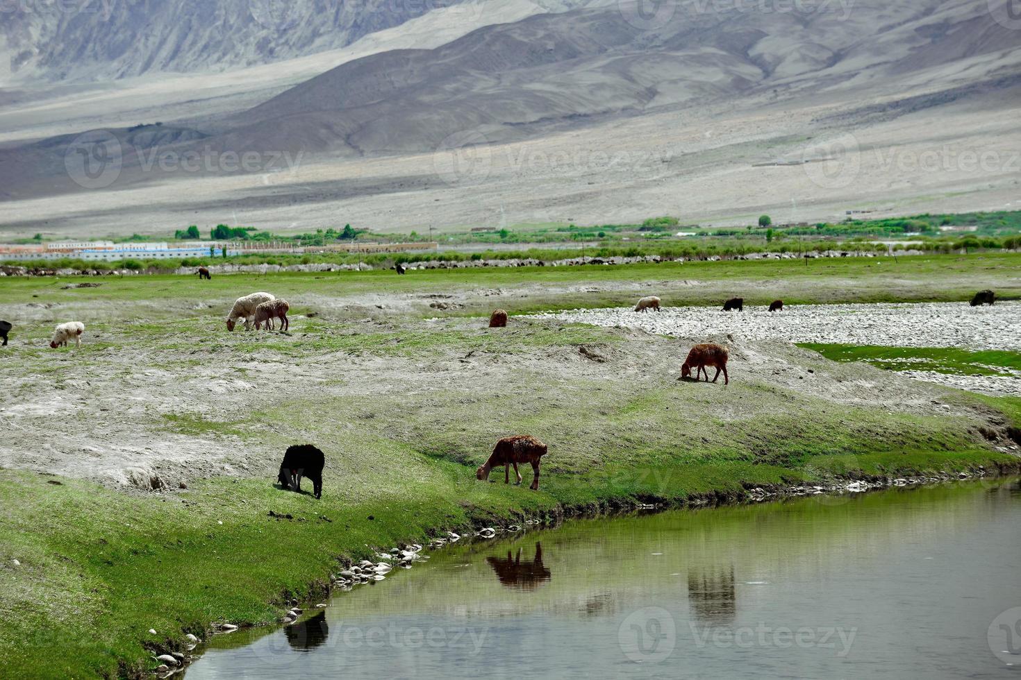 Alar National Wetland Park is surrounded by high mountains photo