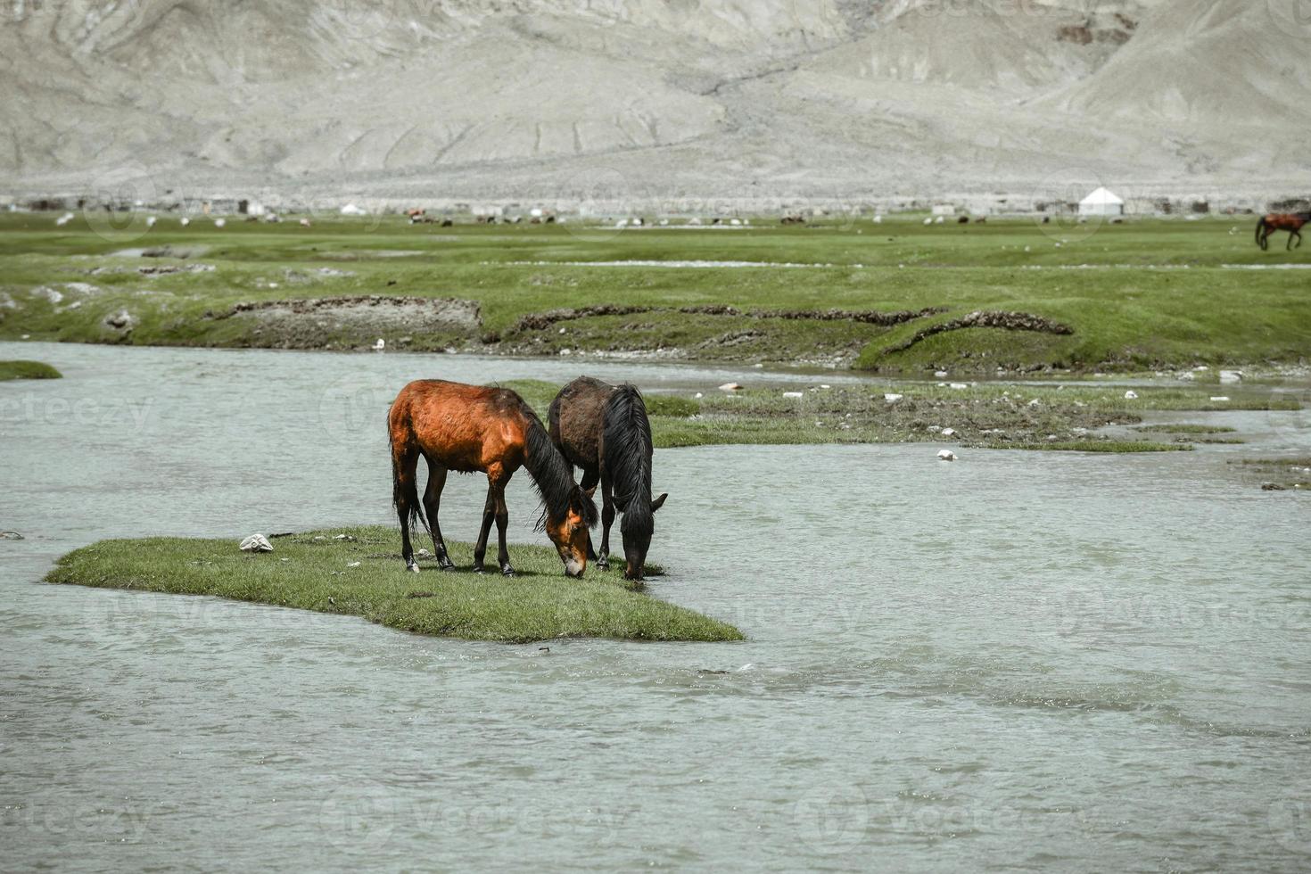 Alar National Wetland Park is surrounded by high mountains photo