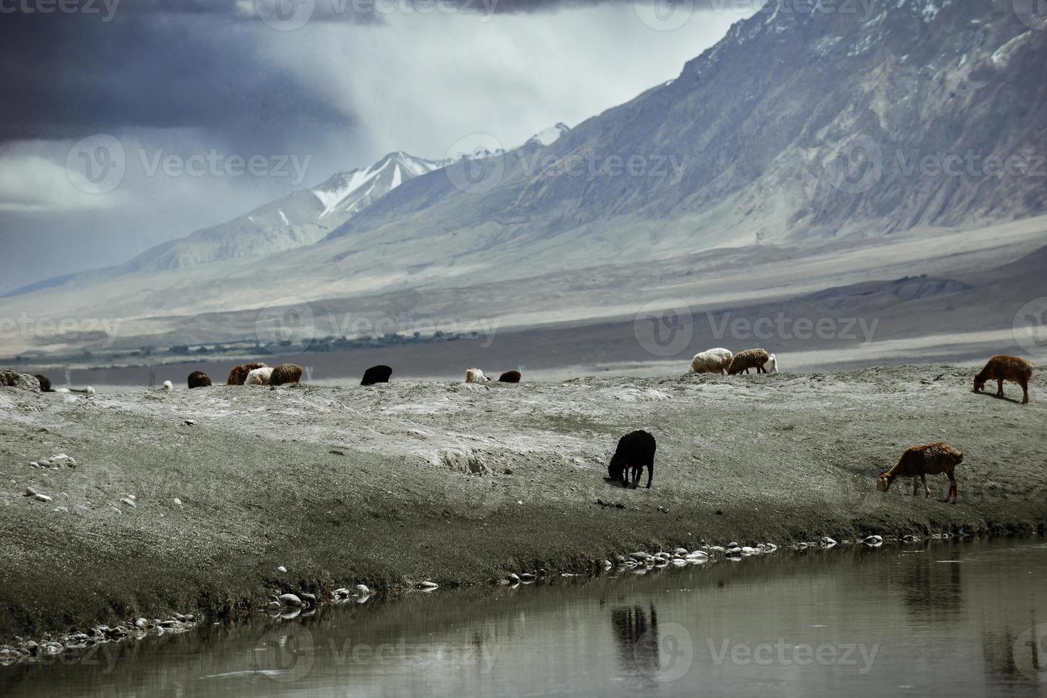 Alar National Wetland Park is surrounded by high mountains photo