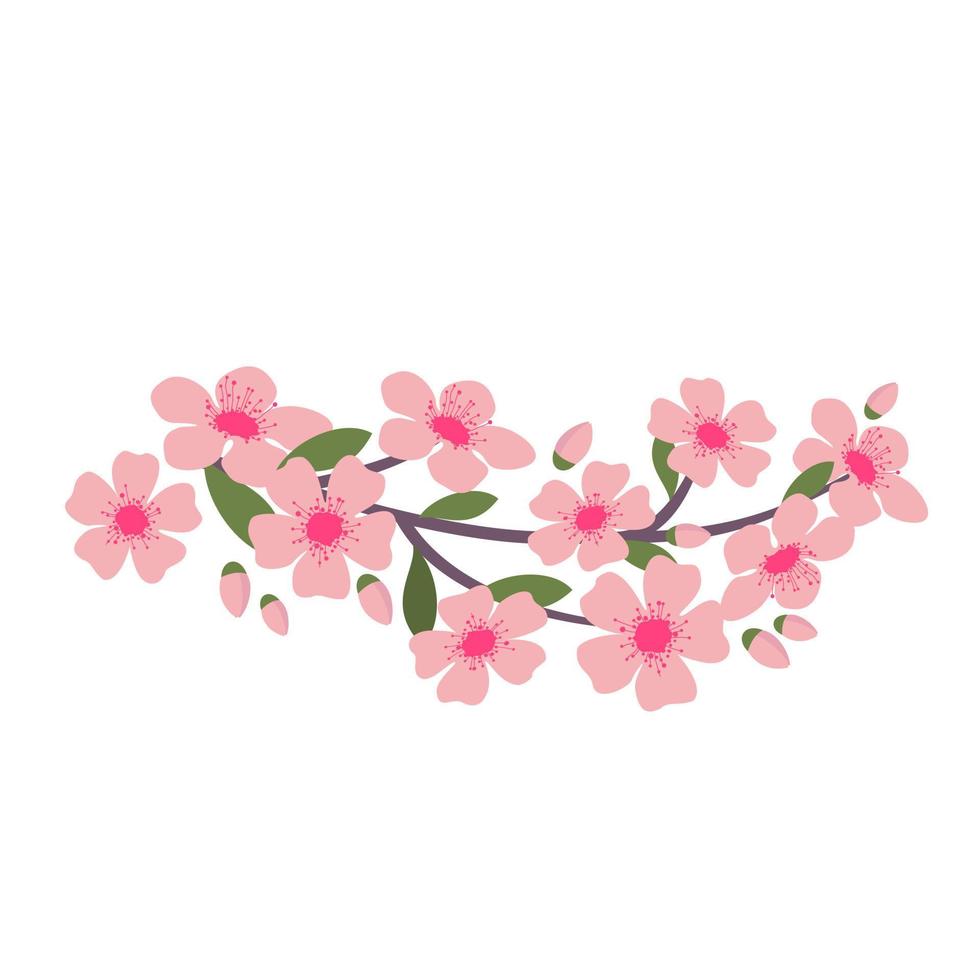 BRANCH FLOWERING SPRING vector