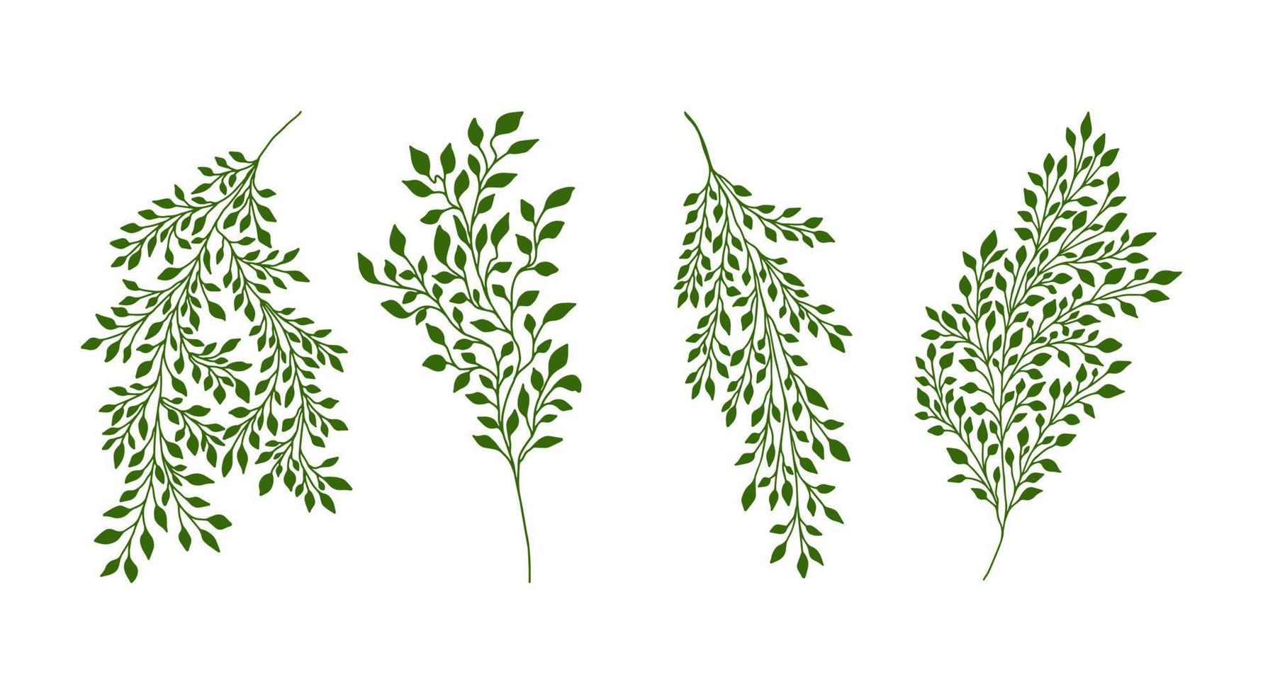 Set of hand drawn doodle silhouettes of minimalistic branches and stems with leaves, twig and grass. Tree Art Design. Isolated on white blackground vector