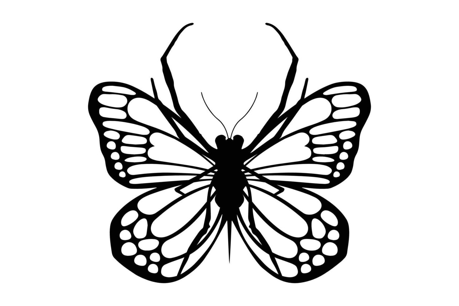 Butterfly vector design