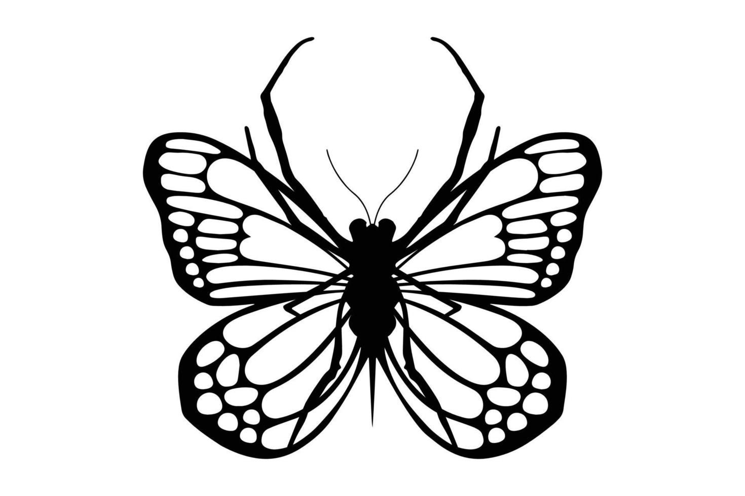 diseño de vector de mariposa