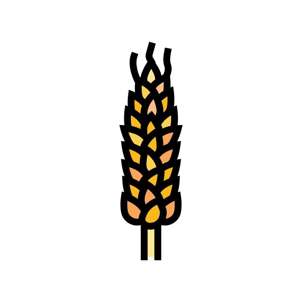 spikelet yellow wheat color icon vector illustration