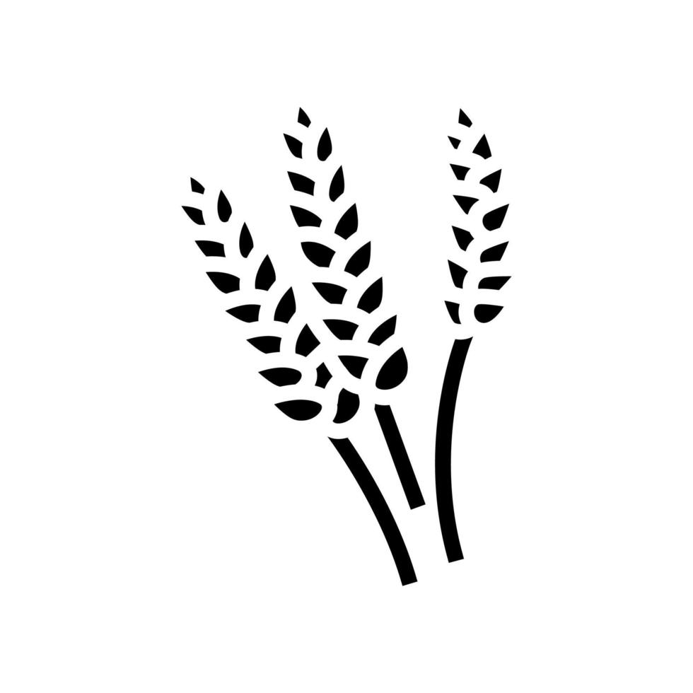 ears of wheat harvest glyph icon vector illustration