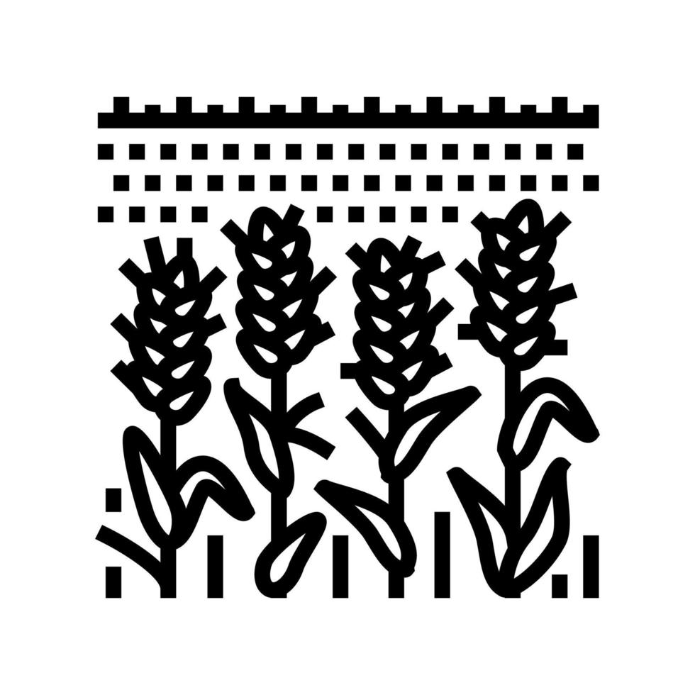 campo verde plantas trigo línea icono vector ilustración