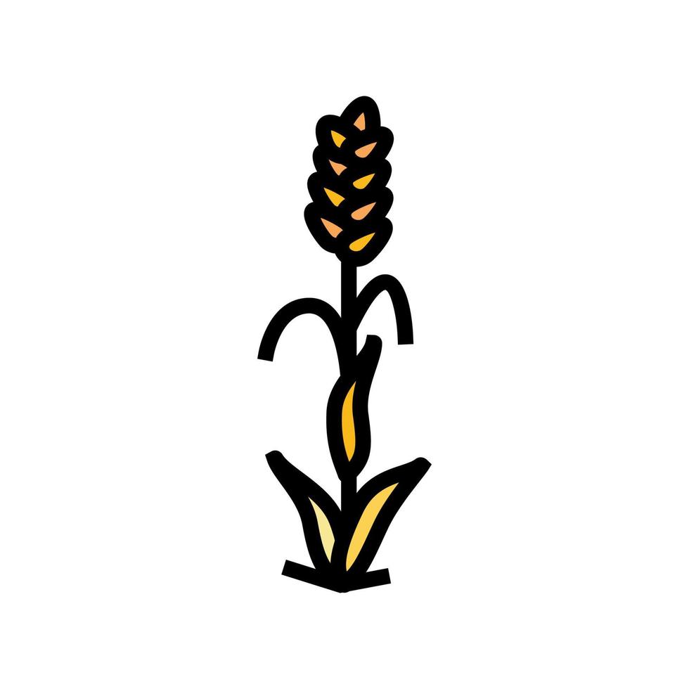 plant ripe yellow wheat color icon vector illustration