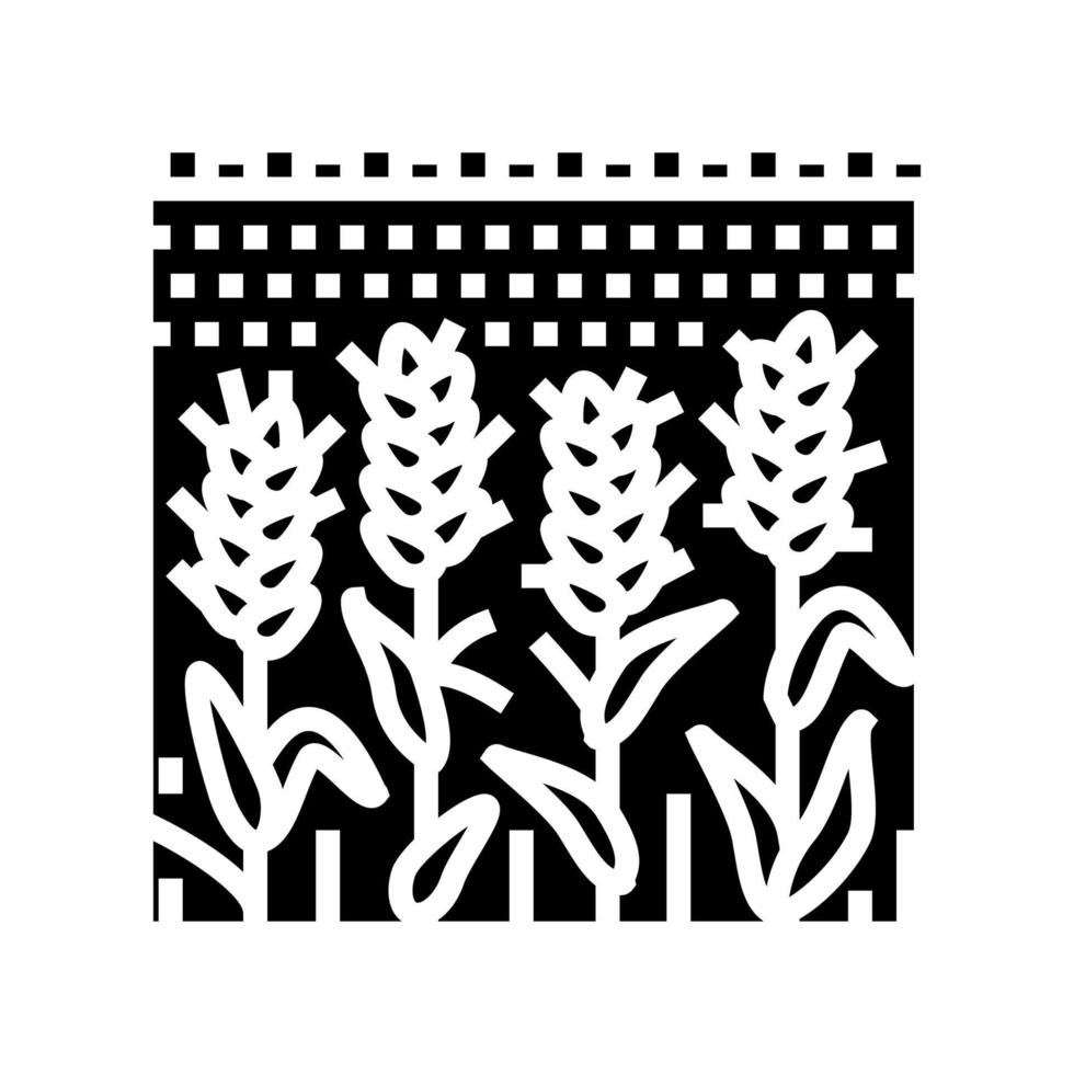 field green plants wheat glyph icon vector illustration