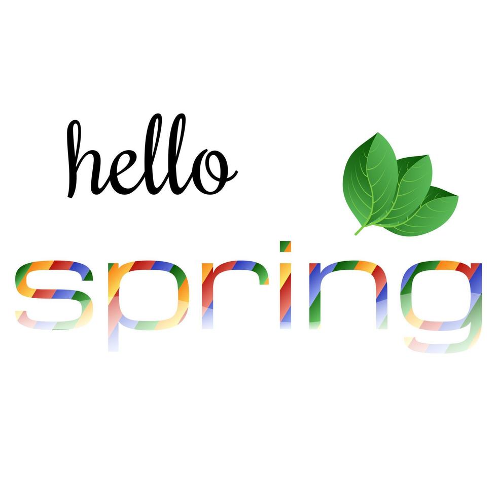 vistoso frase Hola primavera con verde hojas. vector ilustración.