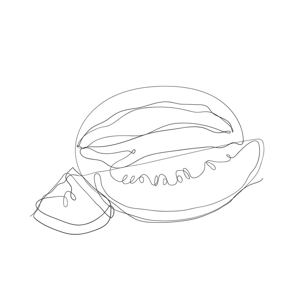continuous line drawing watermelon illustration vector