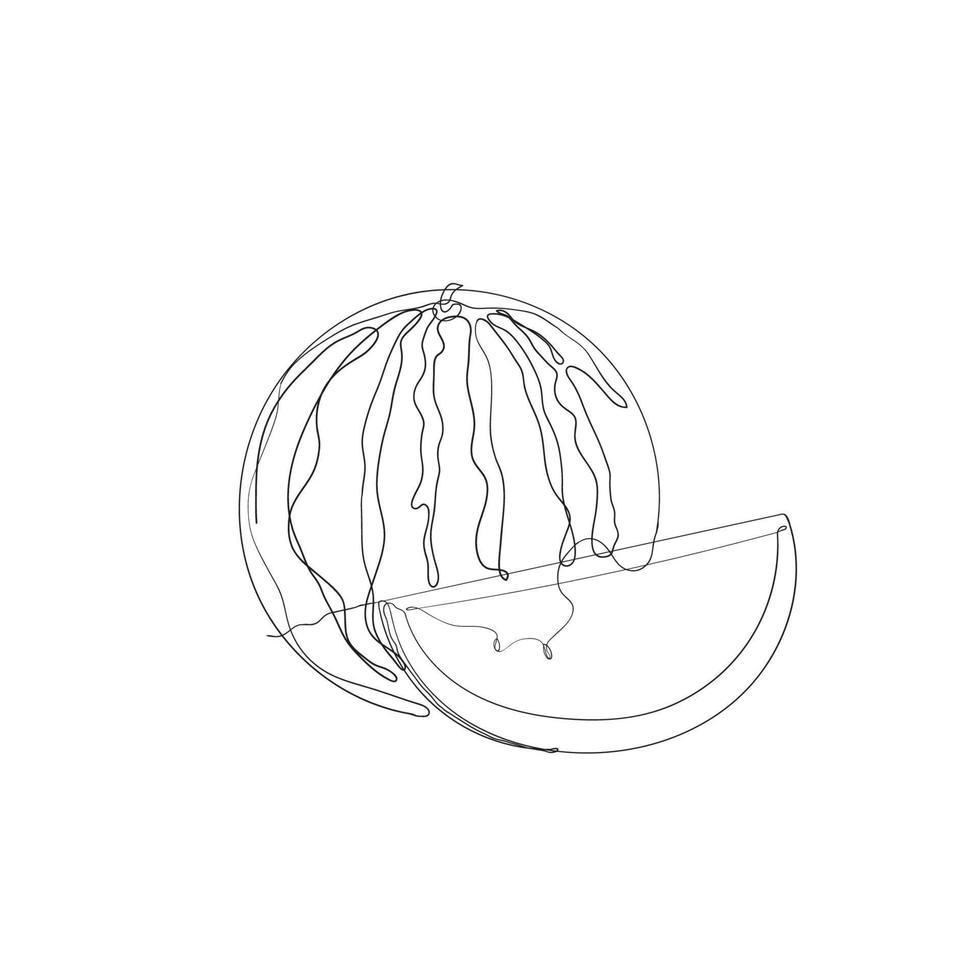 continuous line drawing watermelon illustration vector