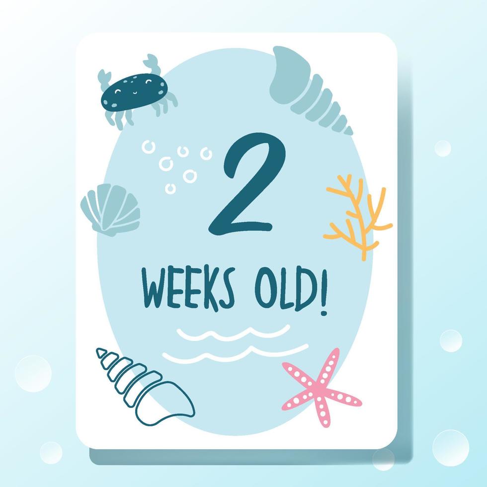 baby milestone cards set with ocean themed vector