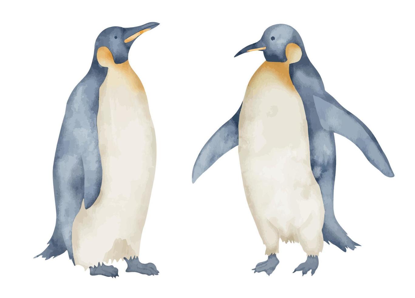 Watercolor Emperor Penguins. Hand drawn illustration isolated on white background. Drawing of Antarctic animals in pastel colors. Sketch of polar bird. Sketch for logo or icon. North character vector