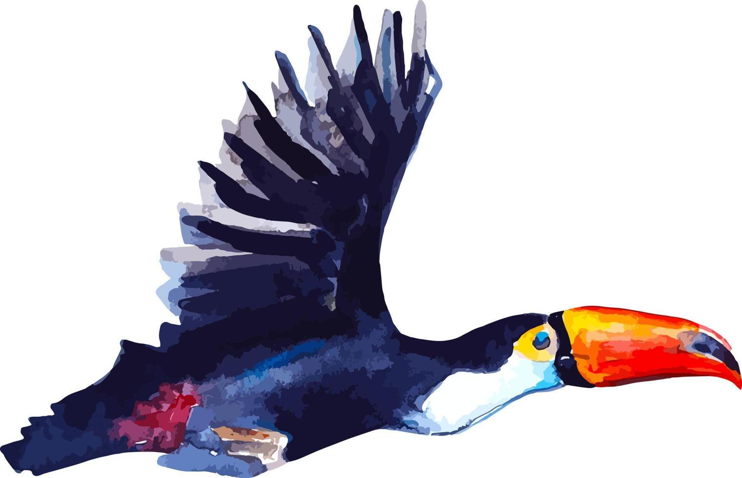 Watercolor flying tucano isolated on white hand drawn exotic bird clipart vector