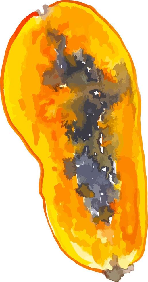 Papaya slice tropical fruit clipart watercolor illustration vector