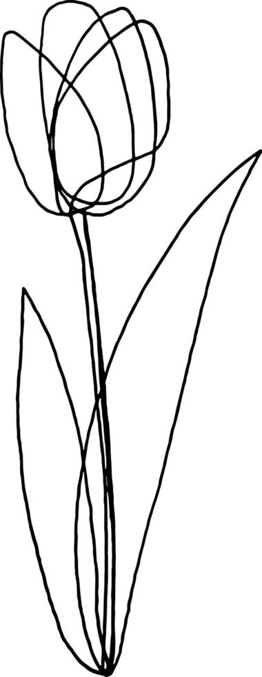 Doodle one line tulip flower hand drawn vector floral clipart