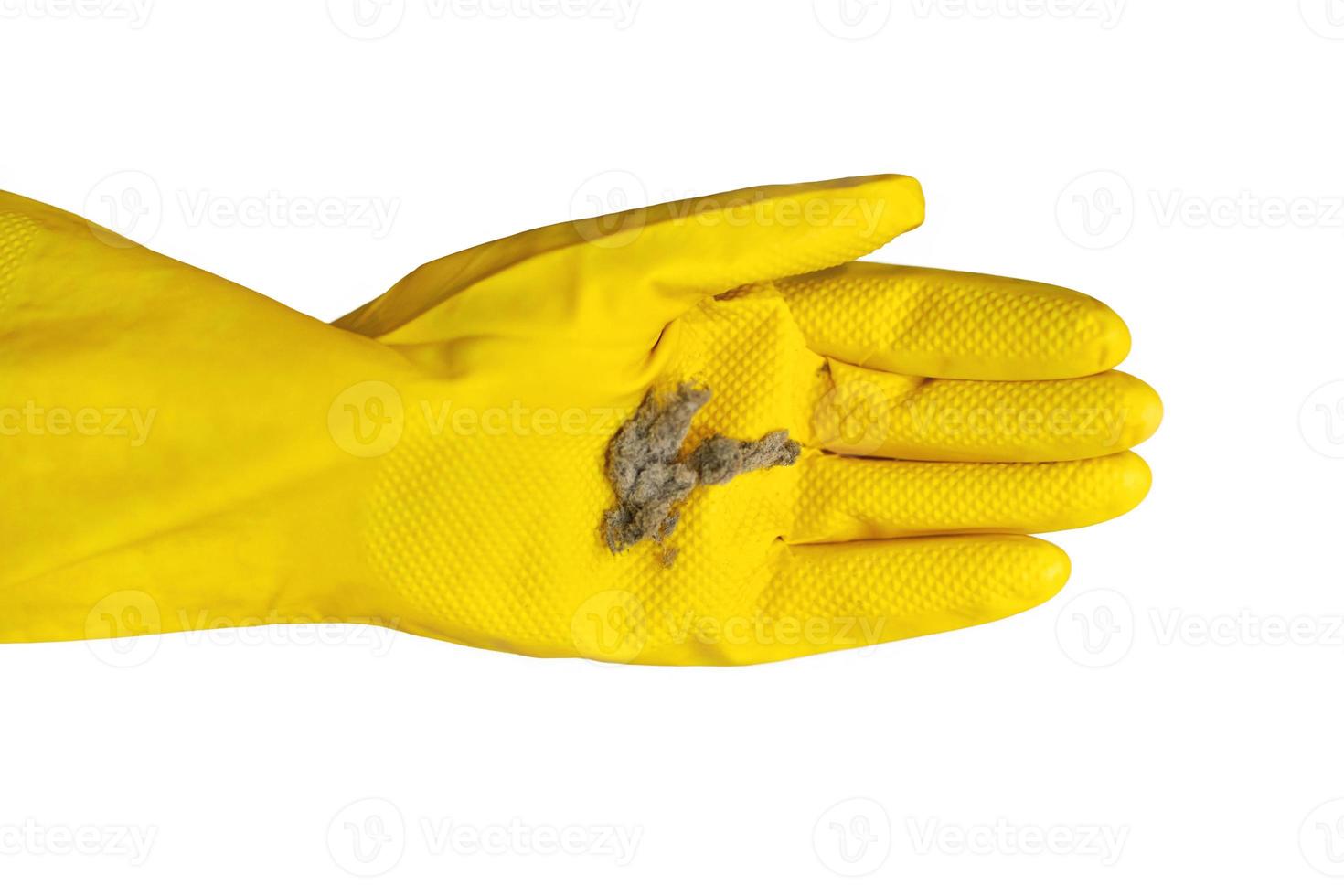 Hand in rubber glove holds dust balls, isolated, close up. photo