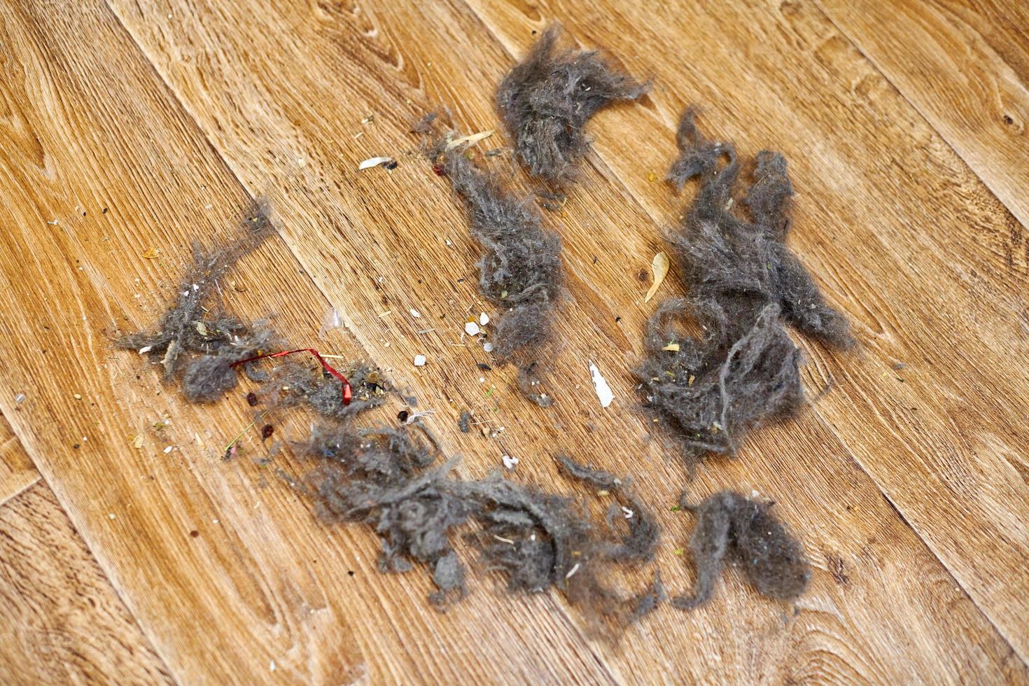 Dust and dirt on floor photo