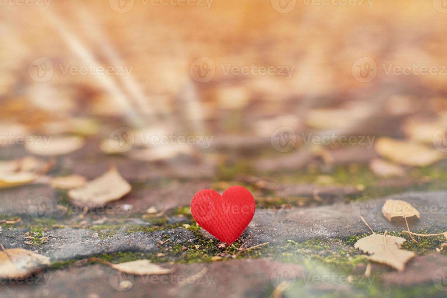 concepto de amor o soledad no correspondido, unilateral. foto