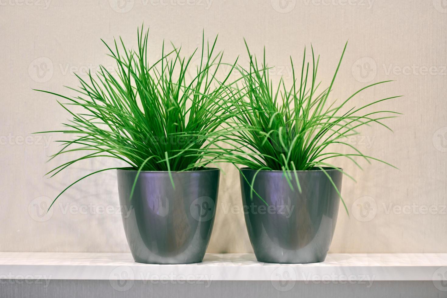 Two artificial green plants pot on shelf photo