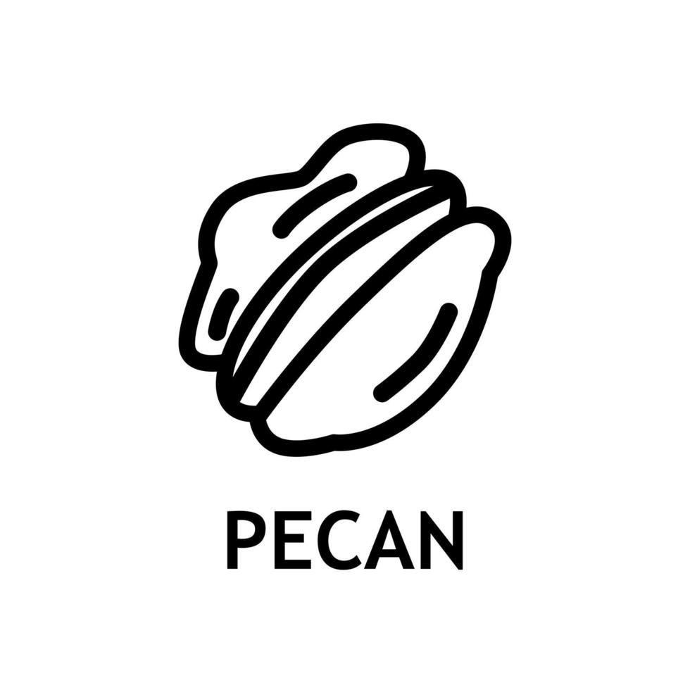 Healthy pecan icon. Vegetarian or vegan ingridient for diet. Nature snack. Delicious nut for logo. vector