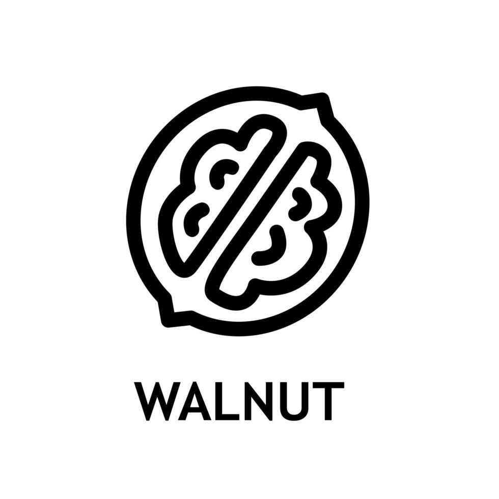 Organic nut line icon. Sign for mobile concept and web design. Peeled walnut outline vector snack. Symbol, logo illustration. Vector graphics