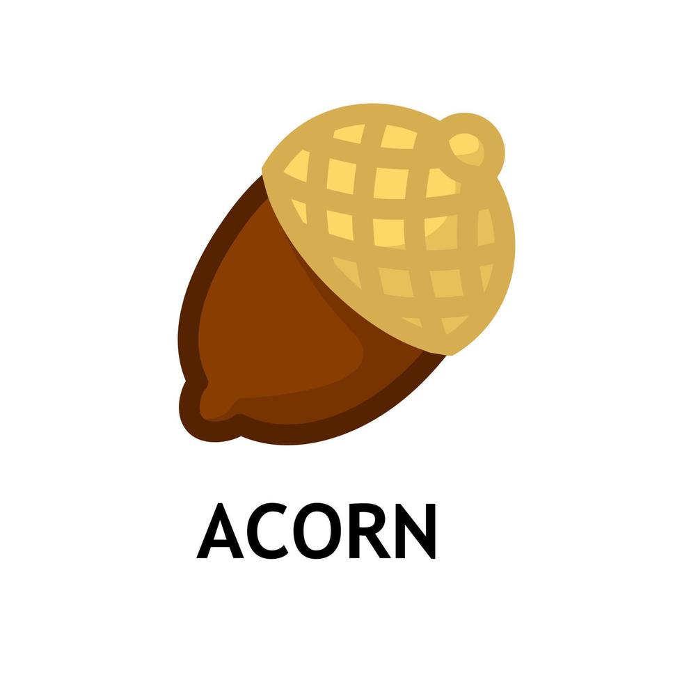 Acorn symbol. Organic snack. Autumn season nut. Vector illustration about food