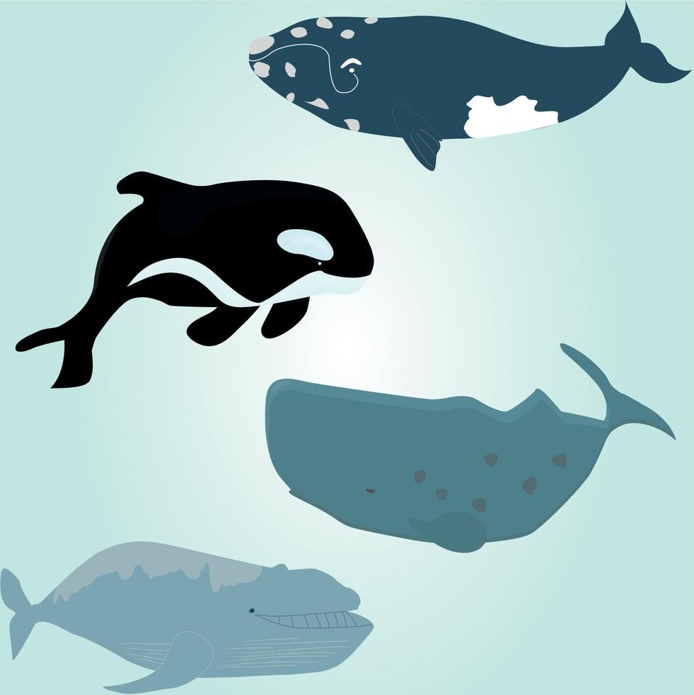 whales in the sea vector