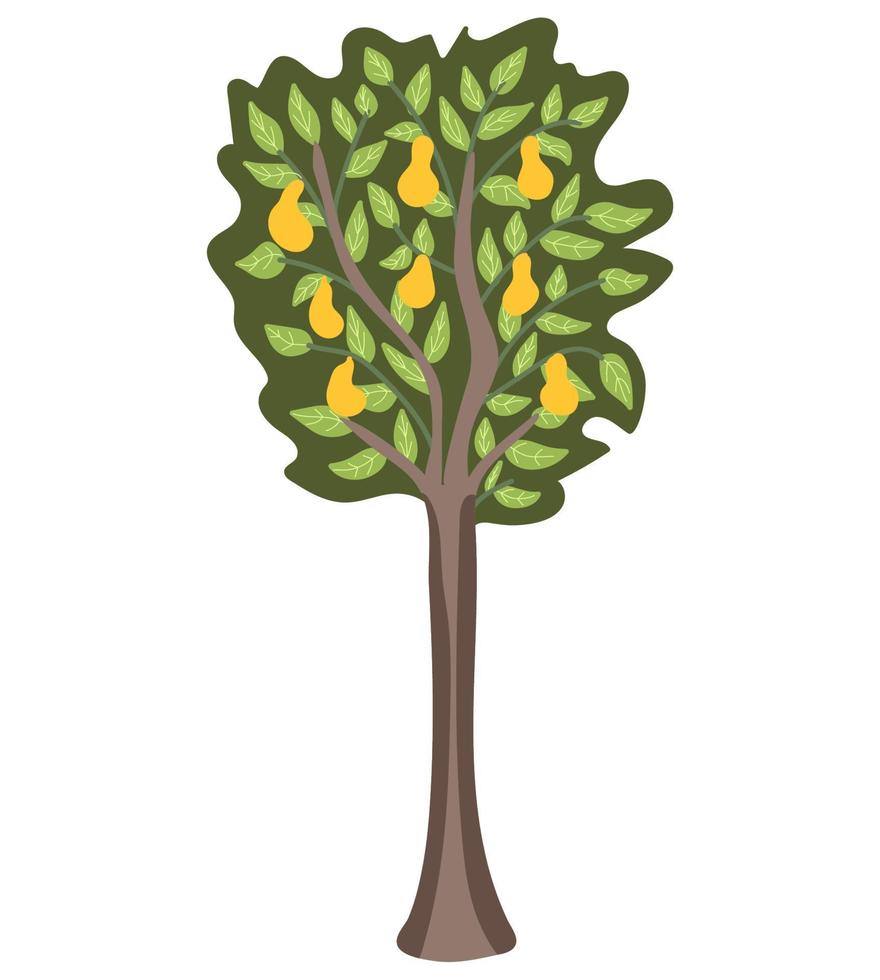 árbol con peras. vector ilustración
